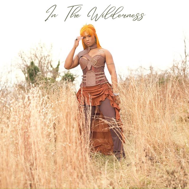 Album cover art for In the Wilderness