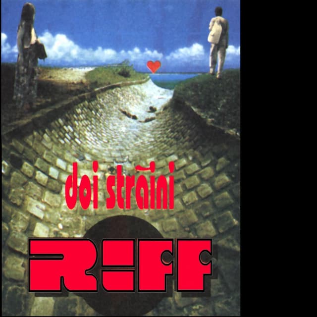 Album cover art for Doi Străini