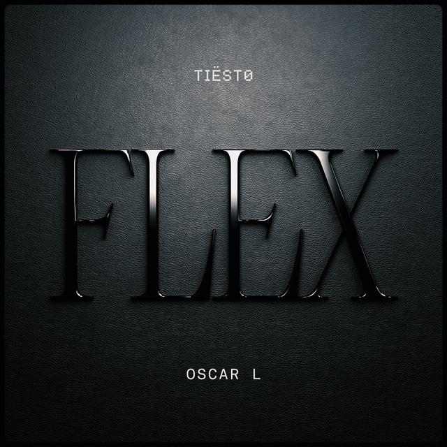 Album cover art for Flex