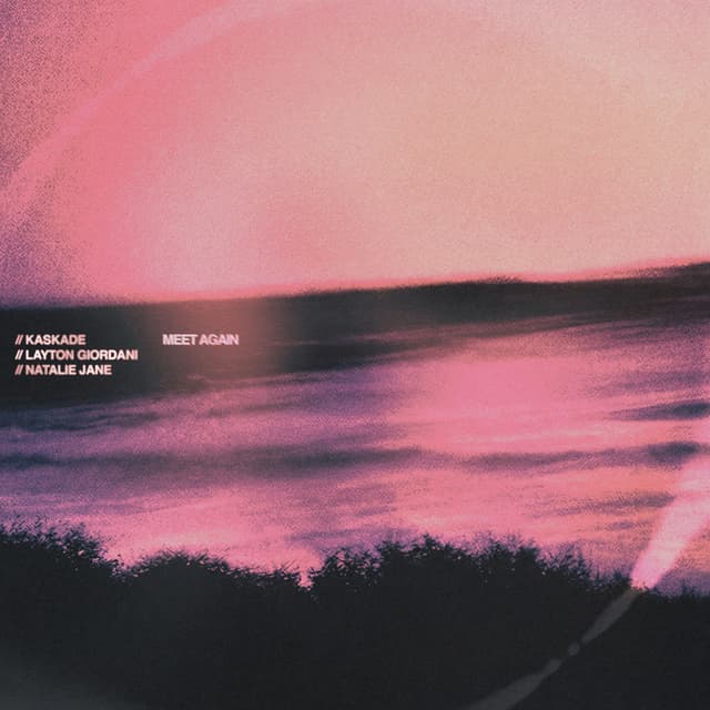 Album cover art for Meet Again
