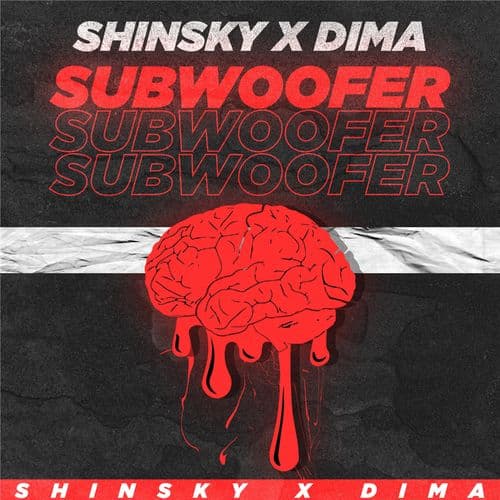 Album cover art for Subwoofer