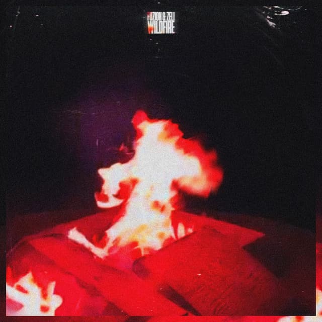 Album cover art for WILDFIRE
