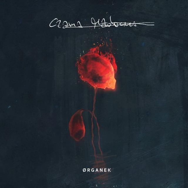 Album cover art for Czarna Madonna