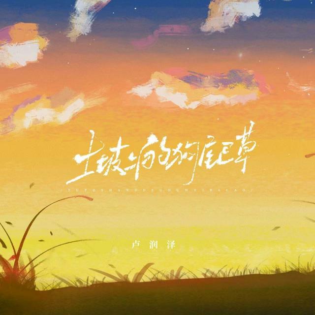 Album cover art for 土坡上的狗尾草