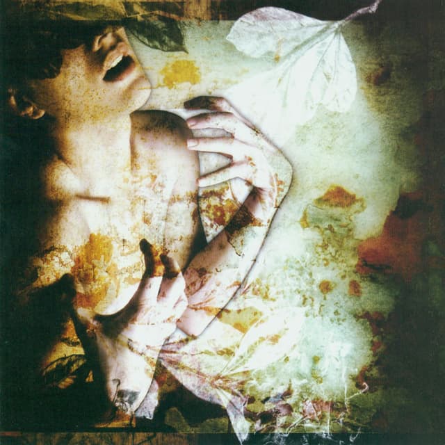 Album cover art for Rumor Has It