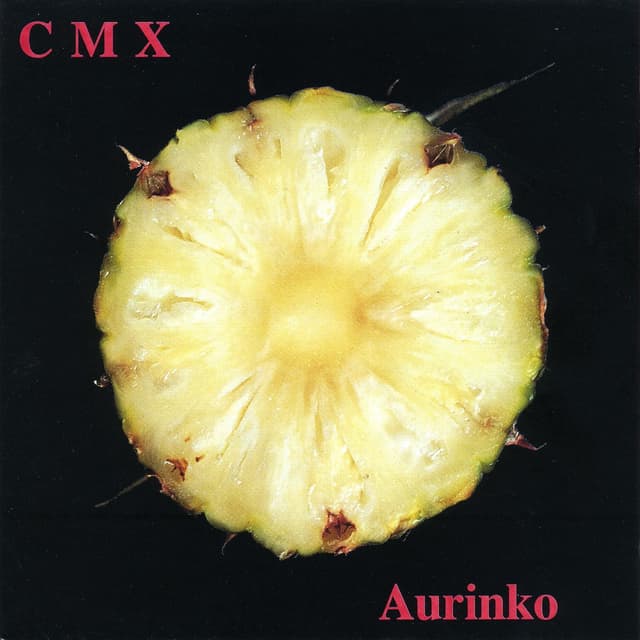 Album cover art for Aurinko