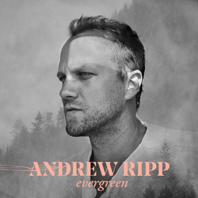 Album cover art for Evergreen