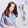 怪你過份美麗（音樂永續 作品）