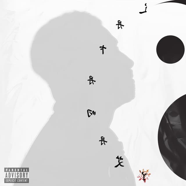 Album cover art for Yin