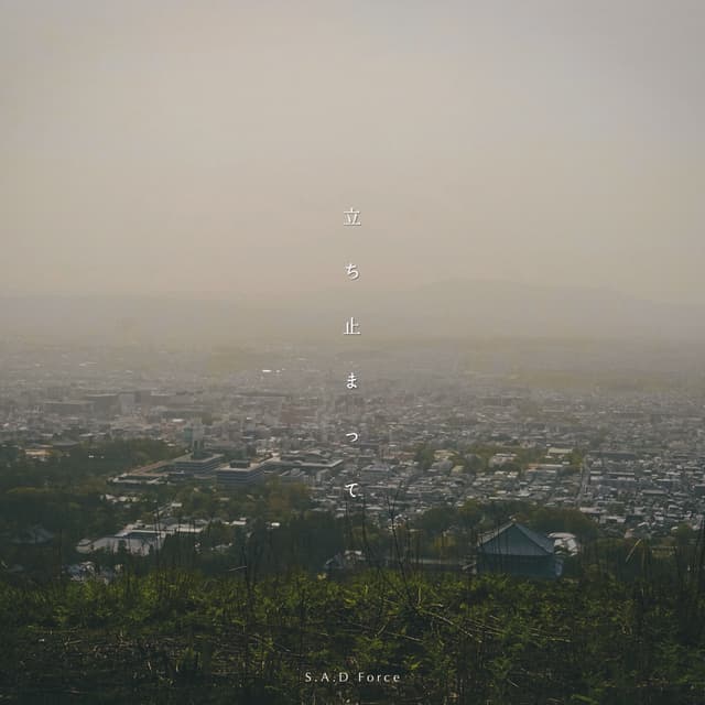 Album cover art for Tachidomatte