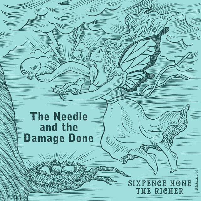 Album cover art for The Needle and the Damage Done