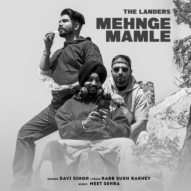 Album cover art for Mehnge Mamle