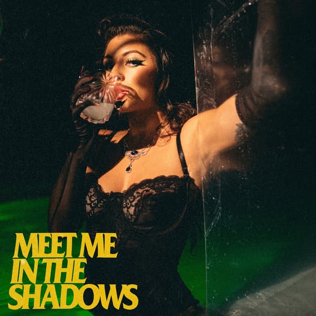 Album cover art for Meet Me in the Shadows