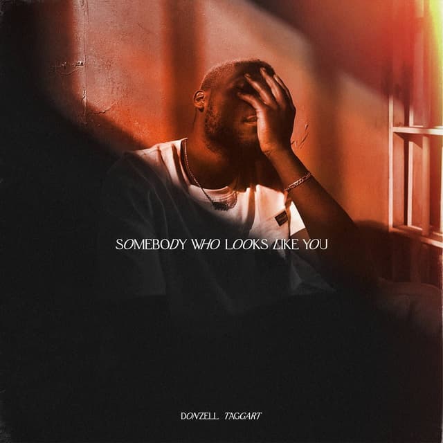 Album cover art for Somebody Who Looks Like You