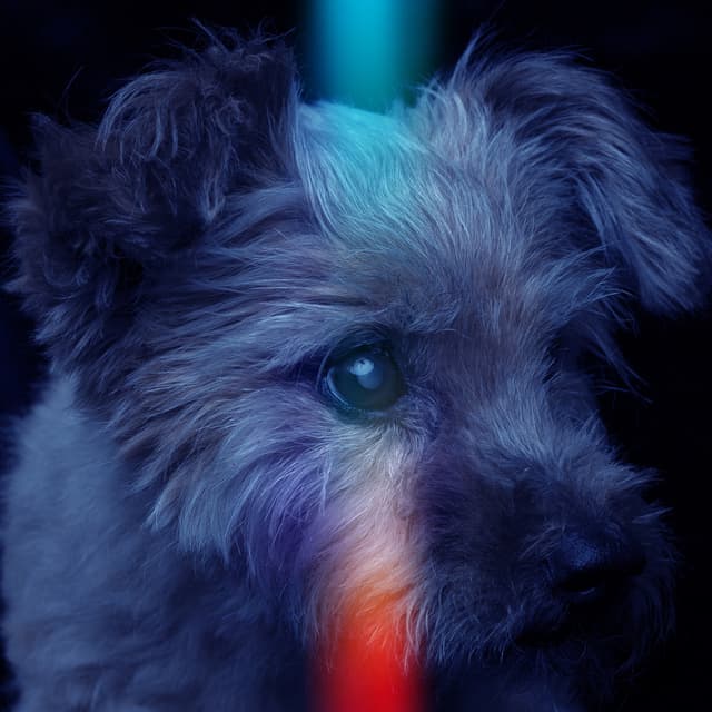 Album cover art for Kraksa