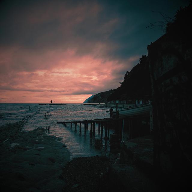 Album cover art for Scarecrows of the Lonely