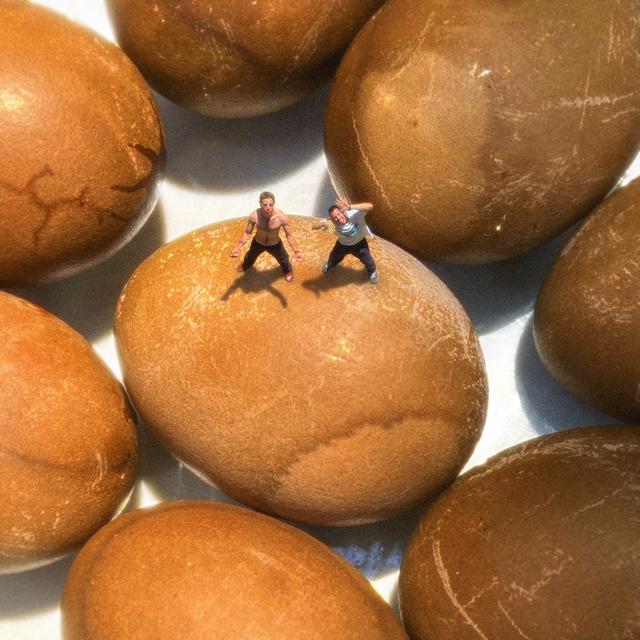 Album cover art for ביצים חומות