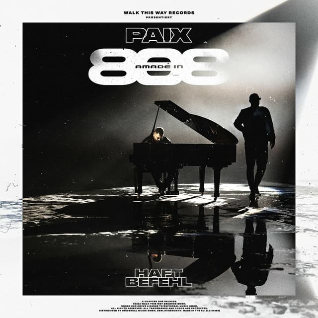 Album cover art for Amadé in 808