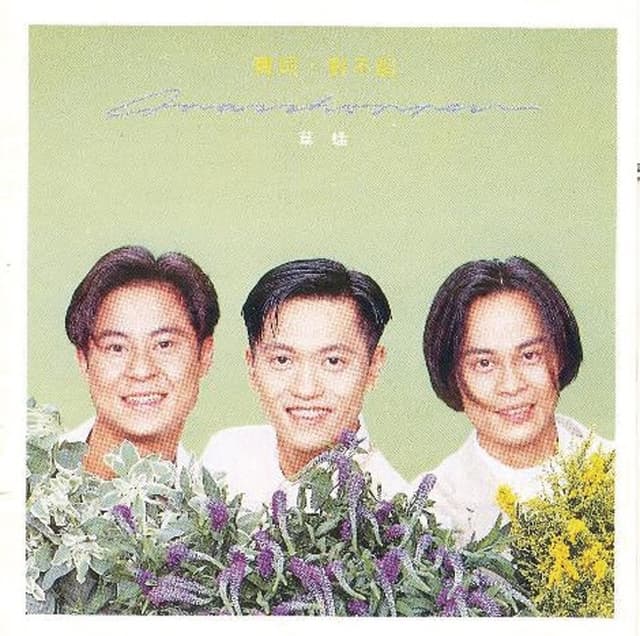 Album cover art for Bao Bei , Dui Bu Qi