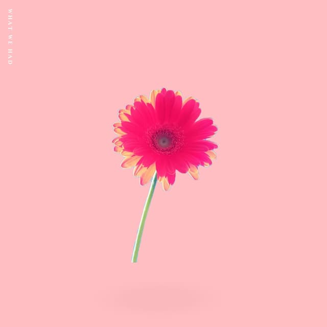 Album cover art for What We Had