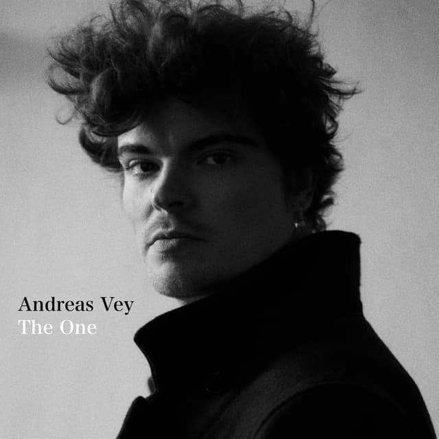 Album cover art for The One