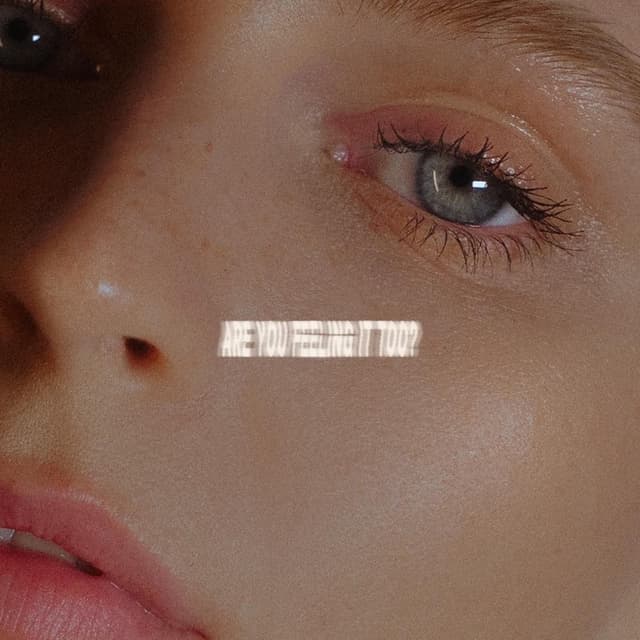 Album cover art for ARE YOU FEELING IT TOO?