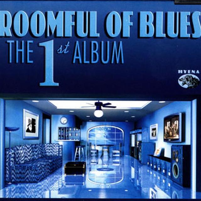 Album cover art for The First Album