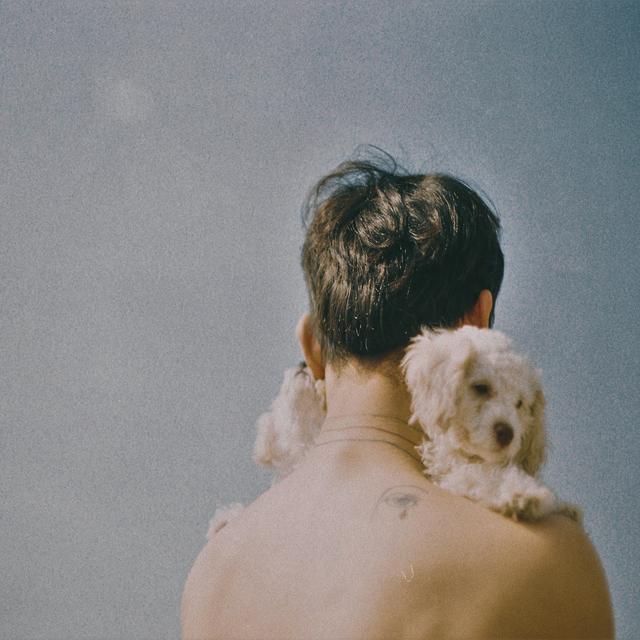 Album cover art for Paint