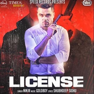 Album cover art for License