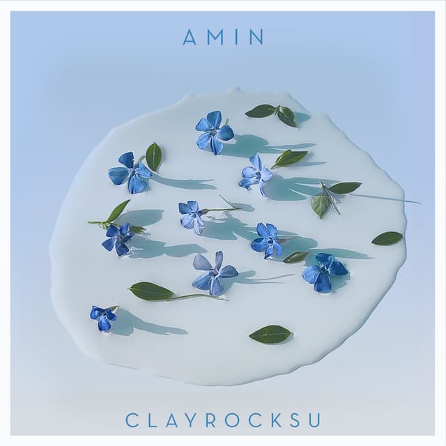 Album cover art for Amin