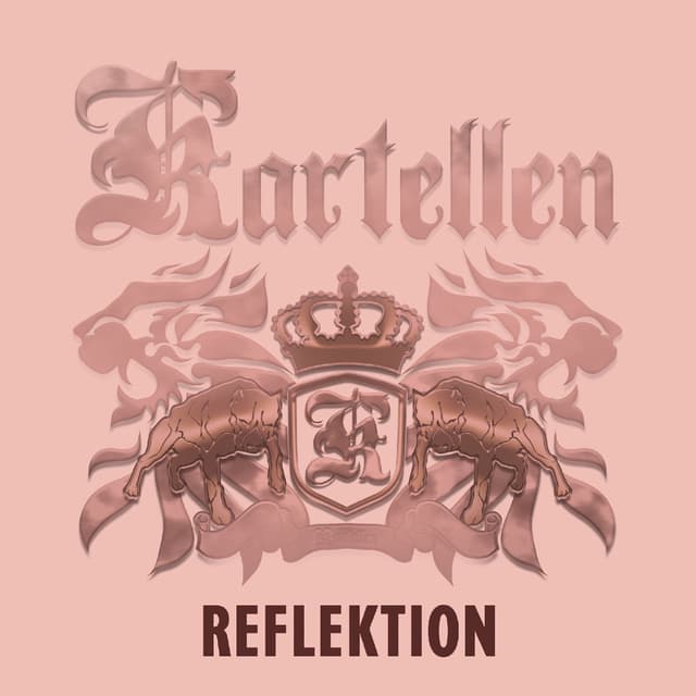 Album cover art for Reflektion