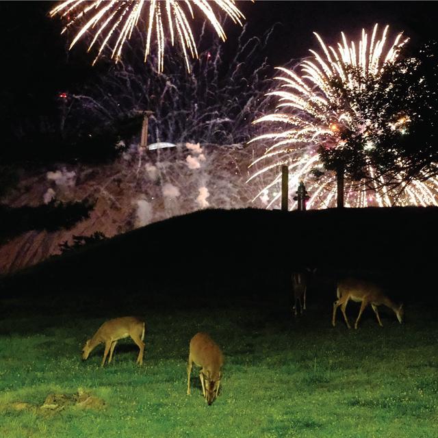 Album cover art for Hunting Season
