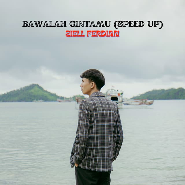 Album cover art for Bawalah Cintamu (Speed Up)