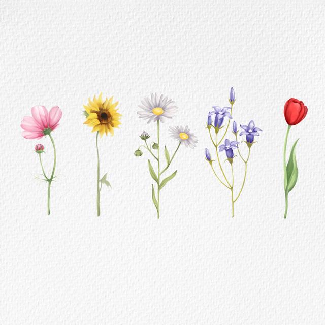 Album cover art for wildflower