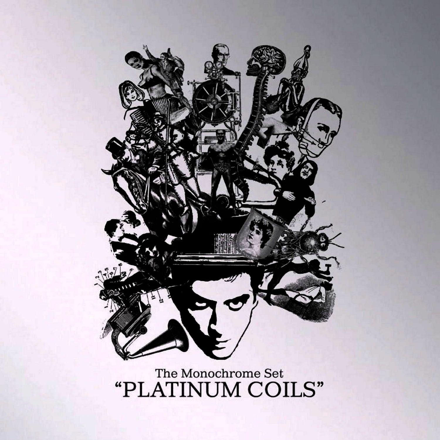 Platinum Coils