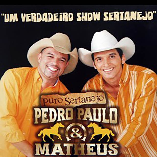 Album cover art for Puro Sertanejo