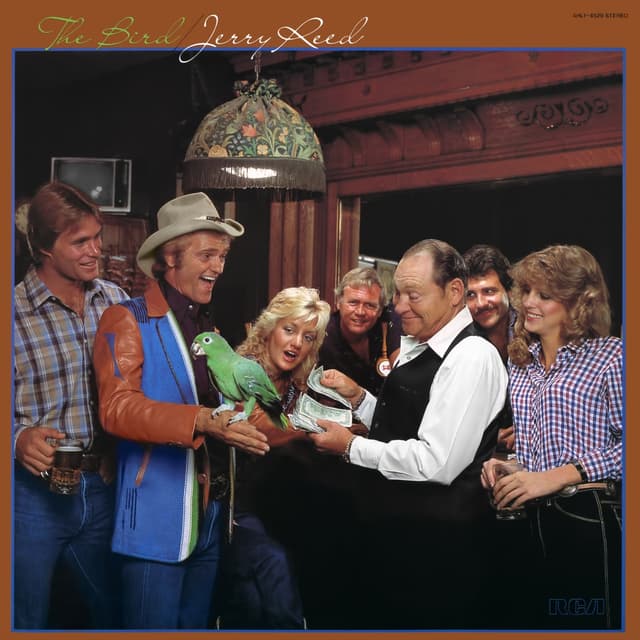 Album cover art for The Bird