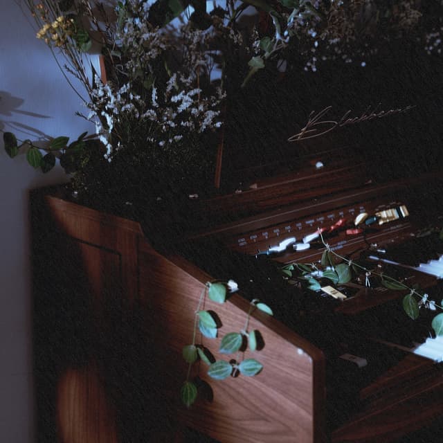 Album cover art for Why