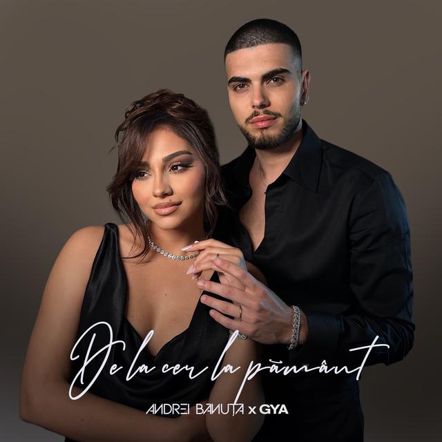 Album cover art for De la cer la pământ