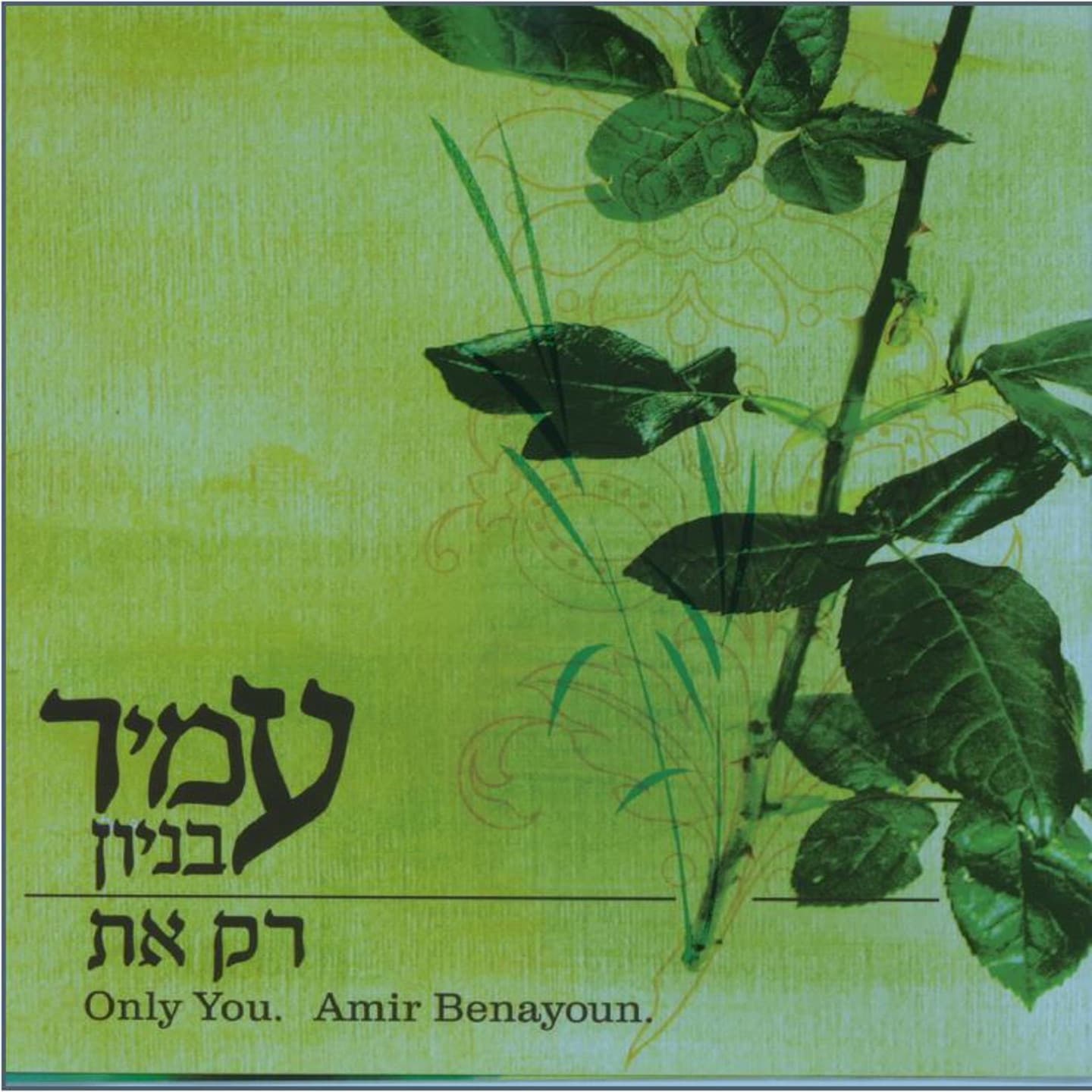 Lyric cover art