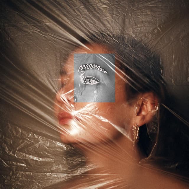 Album cover art for What Have You Become?