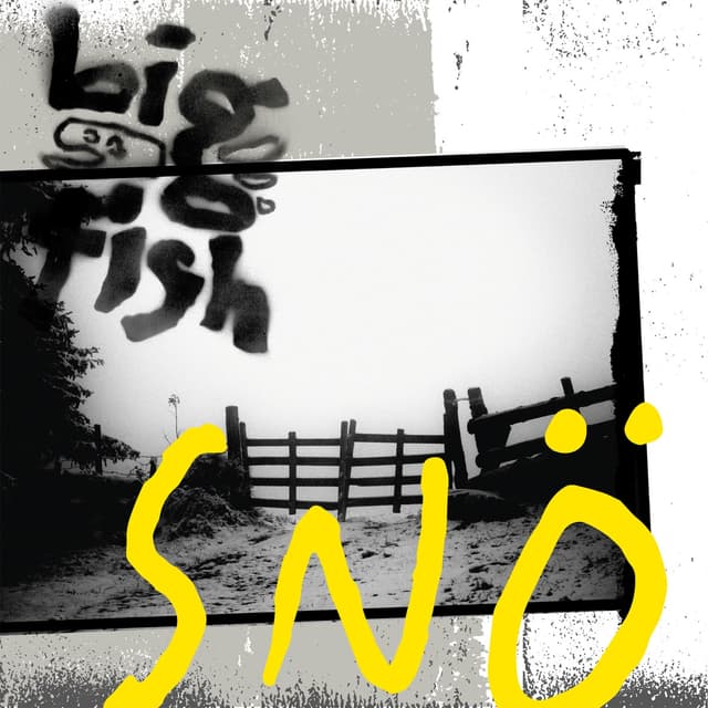 Album cover art for Snö