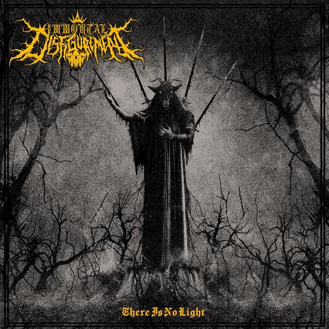 Album cover art for There Is No Light