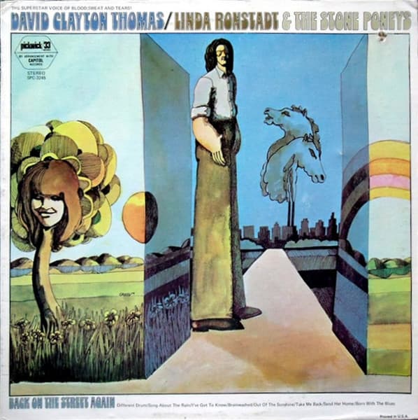 Album cover art for Back on the Street Again