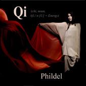 Album cover art for Qi
