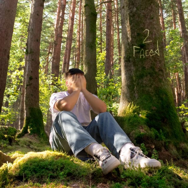 Album cover art for 2 Faced