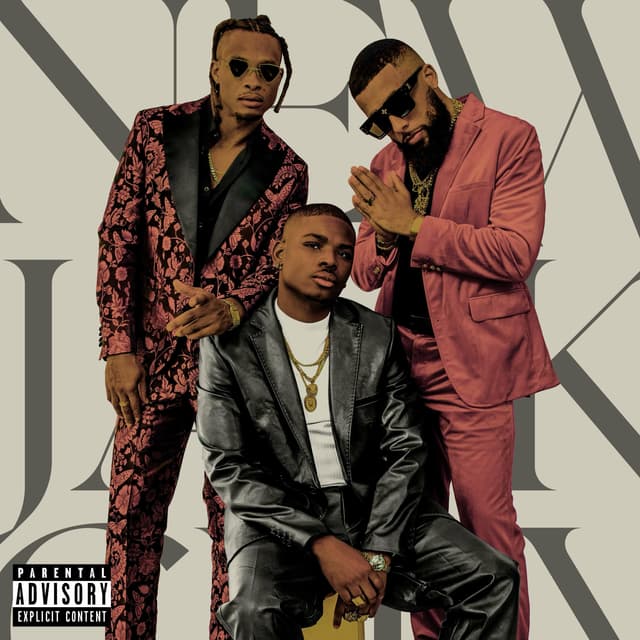 Album cover art for New Jack City