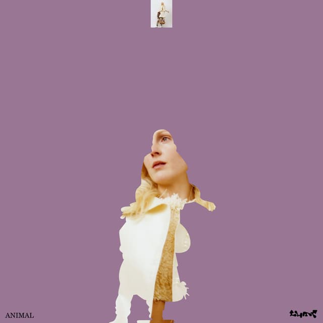 Album cover art for Animal