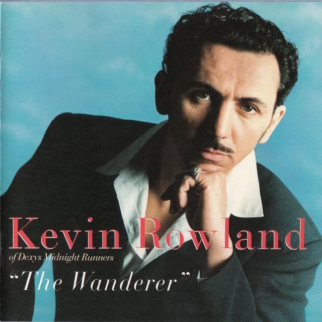 Album cover art for The Wanderer