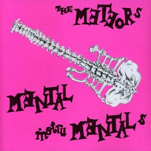 Album cover art for Mental Instru Mentals